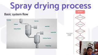 Review of spray drying process of whey protein 22292 [upl. by Ennobe656]