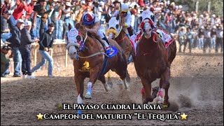 EL GRAN CAMPEÓN DE MÉXICO EL PAYASO Final Maturity Tonalá Payaso vs Golden vs Peligro 325v [upl. by Aidnis]