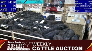 262024  Beaver County Stockyards Livestock Auction [upl. by Rawdan]