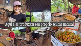 Produção de açúcar mascavo  visitei um engenho  uma deliciosa galinhada caipira [upl. by Quintana]