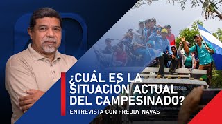 ¿Cuál es la situación actual del campesinado [upl. by Aisac209]