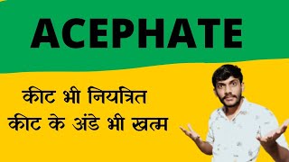 Acephate 75sp insecticide सस्ता और सब से अच्छा किटनाशक प्राथमिक कीटनाशक [upl. by Akinuahs906]