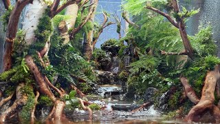 Put a real forest on your desk Creating a healing terrarium with small waterfalls and streams [upl. by Saffier734]