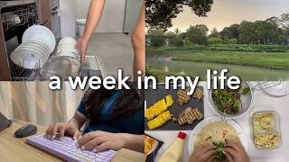 life in singapore 💻🥕🍣🧽 introvert’s 85 wfh rainbowhome cooked meal ideas singapore wfh vlog [upl. by Lertnahs]