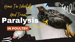 PARALYSIS HOW TO IDENTIFY AND TREAT THE 20 MAIN CAUSES IN POULTRY [upl. by Filia]