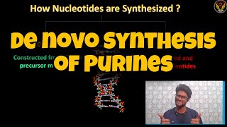 De novo Synthesis of Purines 🧬  Tamil  Nucleotide  Adenine Guaninemolbio  DNA  ThiNK BIOLOGY [upl. by Adiasteb667]