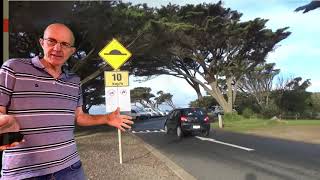 032 How to Pass Your NSW P1 driving test  Speed Management [upl. by Ives882]