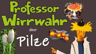 Professor Wirrwahr über Pilze Doku für Kinder Wissenssendung Wissenswertes über Fliegenpilze usw [upl. by Eizzo]