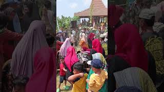 Berebut Gunungan di Festival AUM Desa Talunombo Wonosobo [upl. by Leimad]