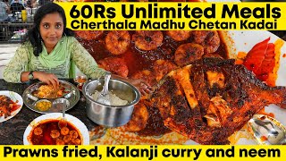 60Rs Unlimited Meals Cherthala Madhu Seafood Restaurant I Tastee with Kiruthiga [upl. by Ettore]