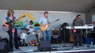 Shelly Waters Band at the Low Country Cajun Festival April 7 2013 [upl. by Islean]