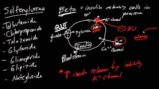 Diabetes Drugs Made Simple [upl. by Ekal633]