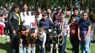 Positivo balance deja el 26º Concurso Crianza del Ternero en Sociedad rural de 9 de Julio [upl. by Assirrec404]