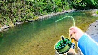 Catching GIANT Brown Trout in a Small Creek 28 Inch Wild Trout [upl. by Inalel896]