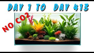 I Tried Growing Plants Without CO2 for 413 Days Heres What Happened [upl. by Atel620]