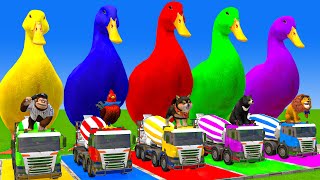 5 Giant Duck CartoonCowMammothTigerLionDinosaurPaint Wild Animals Crossing Fountain Animation [upl. by Adan]