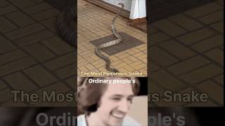 Which is the most venomous or poisonous water snake 🐍  ytshorts shorts viralshorts science [upl. by Linnea158]