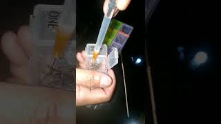 tubig at dextrose powderpara mabilis lumakas ang gagambashortvideoreelsspider fight [upl. by Haeli]