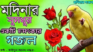 মদিনার সুমধুর কন্ঠের একটি গজল Beautiful Modinar Selected Gojol 2024 Bangla Best Gojol [upl. by Moon629]