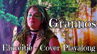 Eluveitie Grannos  Cover  Playalong mit der Alt und Sopranino Blockflöte [upl. by Ecnahc]