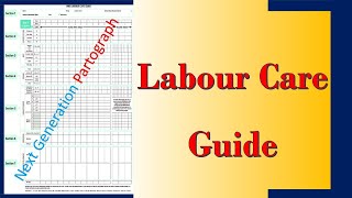 WHO Labour Care Guide  What is the Differences Between Partogram and Labour Care Guide [upl. by Pilloff]