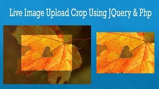 Live Image Upload Crop using jQuery and PHP  symfony tutorial [upl. by Karyn]