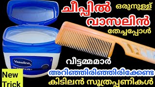 ഒരു തുള്ളി വാസലിൻ ചീപ്പിൽ തടവിയപ്പോൾ കിടിലൻ സൂത്രംവീട്ടമ്മമാർ മിസ്സ്‌ ആക്കല്ലേVaseline Tips [upl. by Barny]