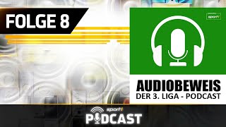 Familien im Brennpunkt I Audiobeweis  Der 3LigaPodcast [upl. by Tymothy]