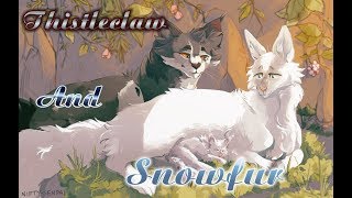 Thistleclaw and Snowfur  Name Of Love [upl. by Windham4]