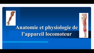 Anatomie et Physiologie de lappareil Locomoteur [upl. by Melania]