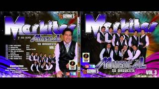 Markitos y su son musical Mos Tonadas 2013 [upl. by Anawal]