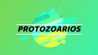 ¿Que son los protozoarios [upl. by Assital575]