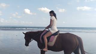 pretty girl riding horse at mesari stables in bali at seminyak beach [upl. by Hermia]