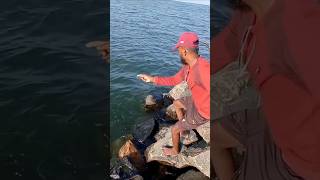 Fishing With Sea Snail as Bait fishing fishingvideos thoondilulagam seafishing [upl. by Inalan]