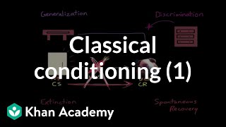 Classical conditioning Extinction spontaneous recovery generalization discrimination [upl. by Decrem3]