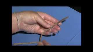 Earthworm Dissection Student Cut 1 for Lesson Plan [upl. by Obla479]