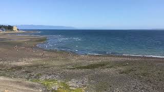 Timelapse Playa Pelluco Puerto Montt [upl. by Skeie]