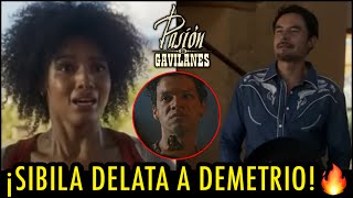 PASIÓN DE GAVILANES 2  CAPÍTULO 62  ¡SIBILA DELATA A DEMETRIO🔥 SEGUNDA TEMPORADA [upl. by Feigin]