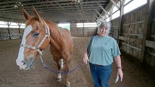 Tips for worming your horse [upl. by Backer]