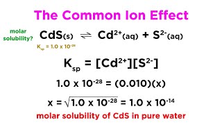 The Common Ion Effect [upl. by Norad906]