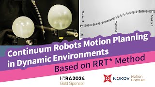 ICRA 2024 RRTbased SafetyConstrained Motion Planning for Continuum Robots in Dynamic Environments [upl. by Asilehc]