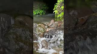 flow river in the nature piano pianomusic meditationmusic america asmr asmrwatersounds [upl. by Millie999]