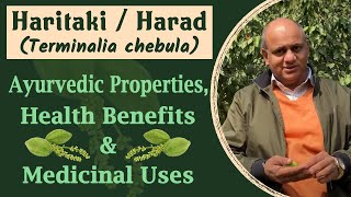 Haritaki  Harad Terminalia chebula  Ayurvedic Properties Health Benefits amp Medicinal Uses [upl. by Melvena762]