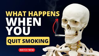 What Happens When You Stop Smoking  Benefits of Quitting Smoking  MedBoard [upl. by Holtorf]