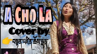 A Cho La Nyima Dhondup cover Tibetan girl tenchoe [upl. by Allicerp]