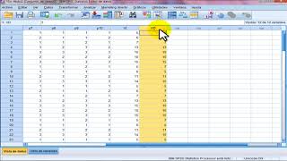 Correlación SPSS [upl. by Llerud]