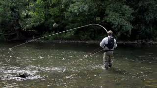 Sunray  How to Fly Cast  Aerial Spey [upl. by Myrilla458]