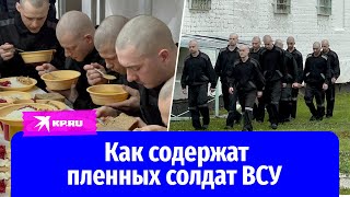 Чем живут и о чём мечтают пленные солдаты ВСУ [upl. by Obocaj549]