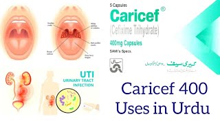 Caricef 400 mg capsules uses in urdu  Caricef capsules [upl. by Quiteris]