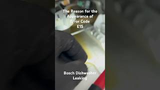 Obvious Reason for the Appearance of Error Code E15 on the Display of a Bosch Dishwasher [upl. by Baerl]